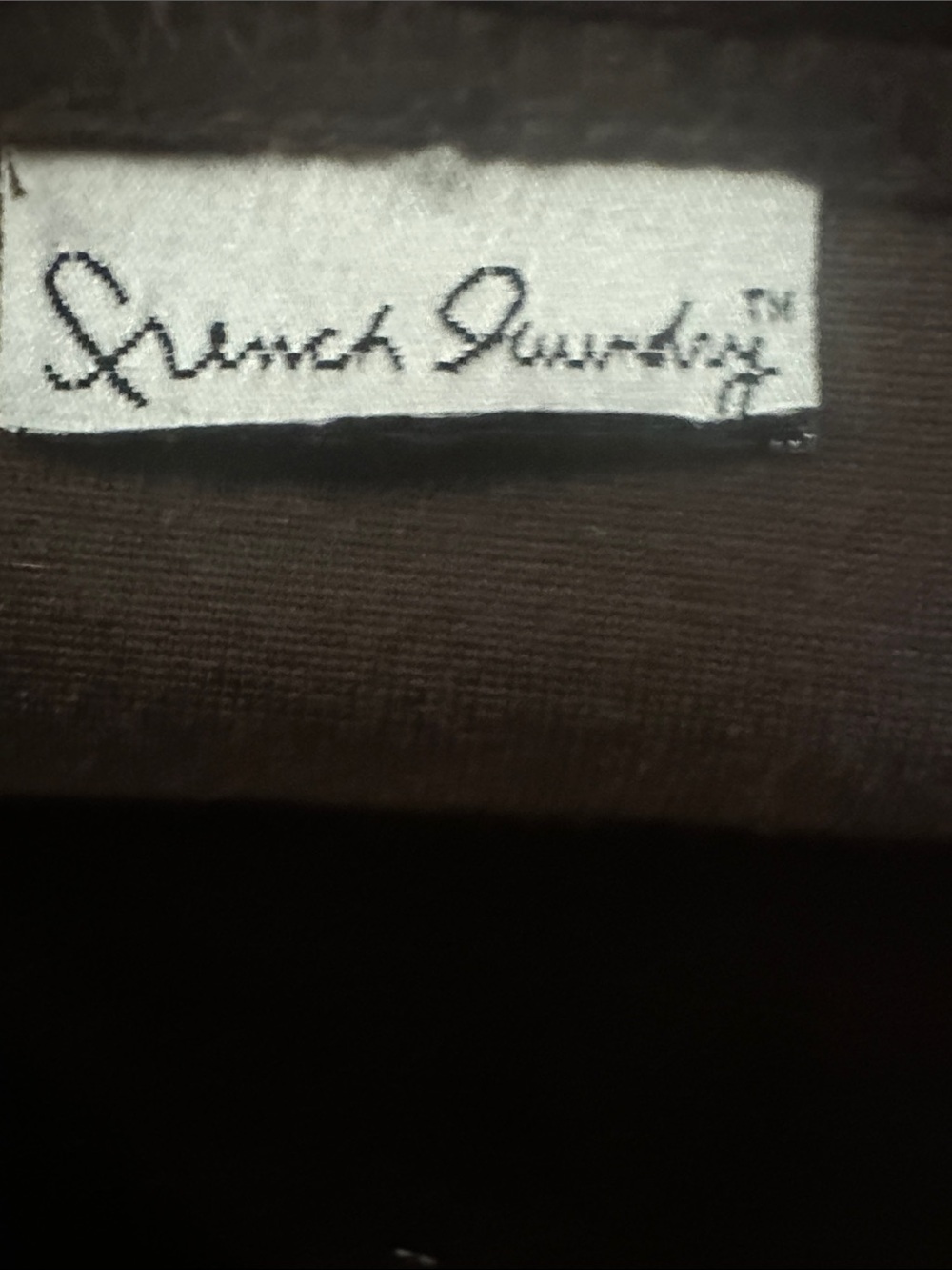 French Laundry Babydoll Dress in Velvet - Picture 5 of 5